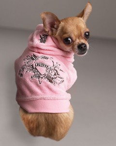 juicy_couture_hoodies_for_dogs.jpg